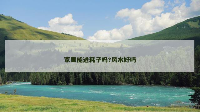 家里能进耗子吗?风水好吗