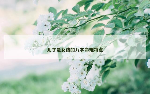 儿子是女孩的八字命理特点