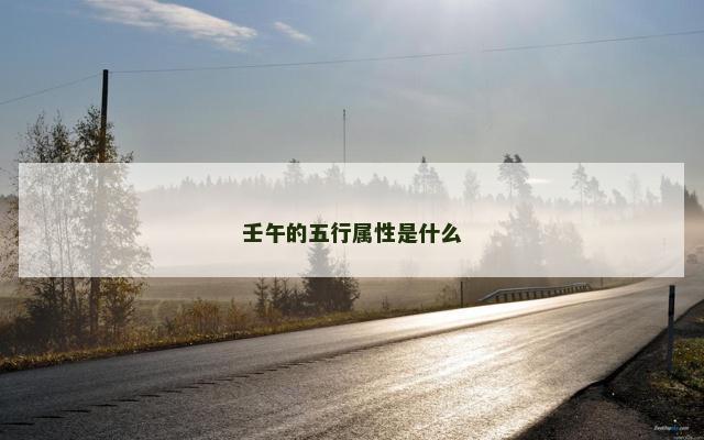 壬午的五行属性是什么