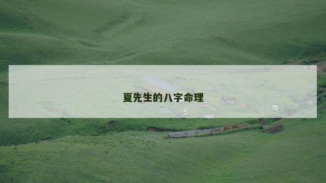 夏先生的八字命理
