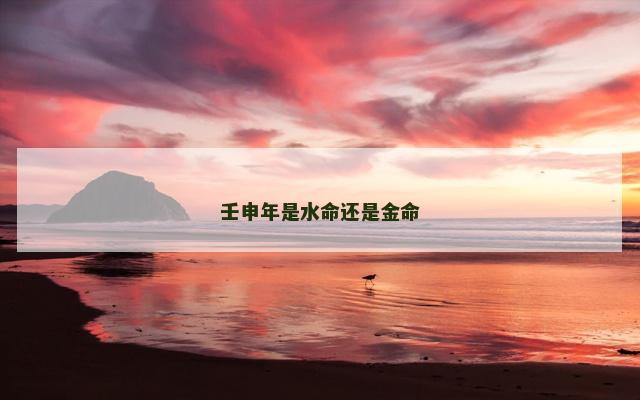壬申年是水命还是金命