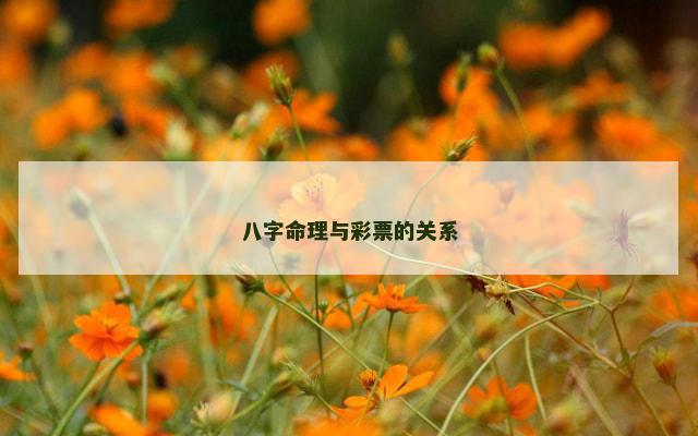 八字命理与彩票的关系