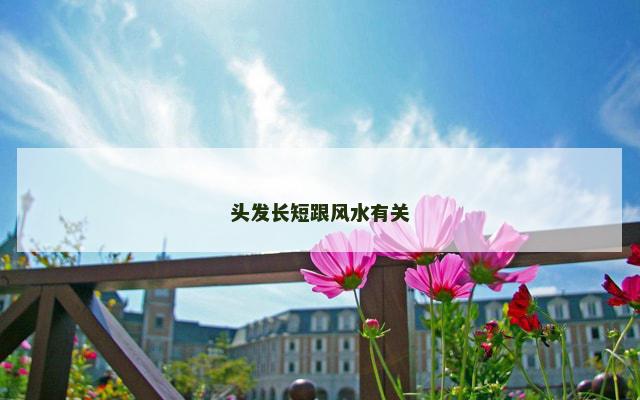 头发长短跟风水有关