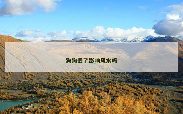 狗狗丢了影响风水吗