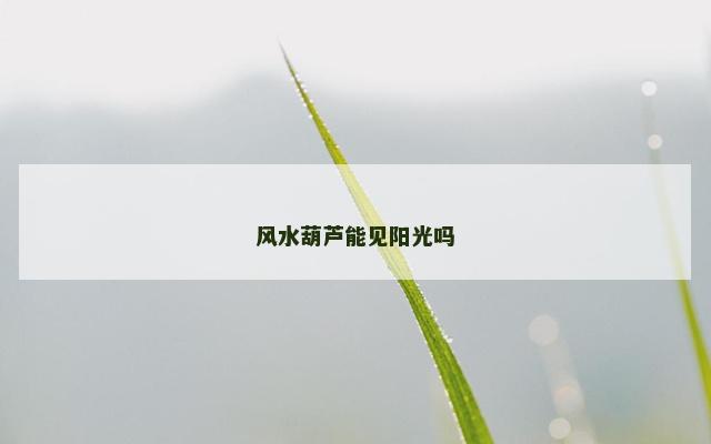 风水葫芦能见阳光吗