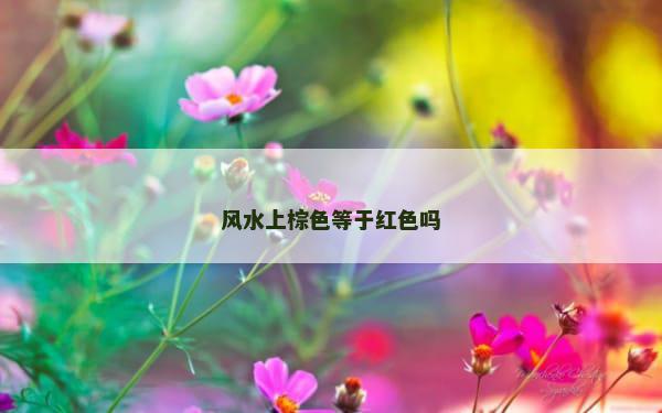 风水上棕色等于红色吗