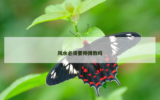 风水必须要师傅教吗