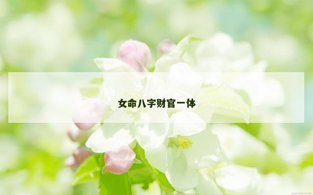 女命八字财官一体