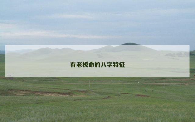 有老板命的八字特征
