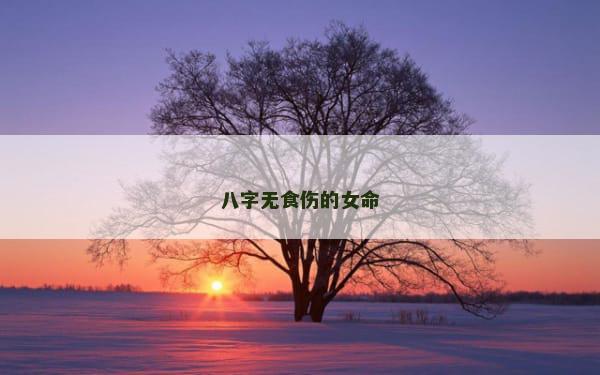 八字无食伤的女命
