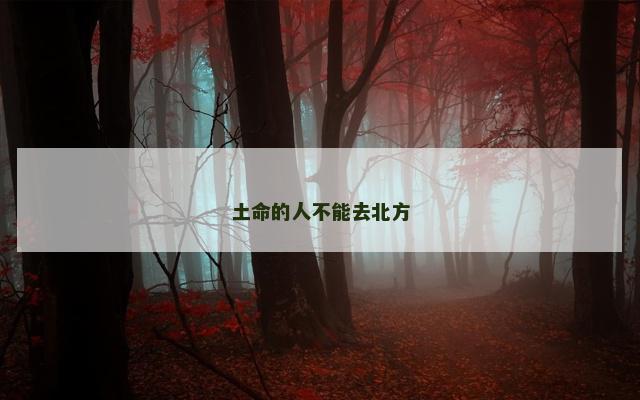 土命的人不能去北方