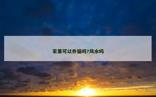 家里可以养猫吗?风水吗