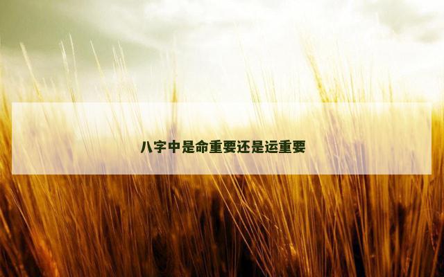 八字中是命重要还是运重要