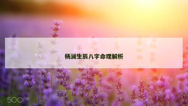 杨澜生辰八字命理解析