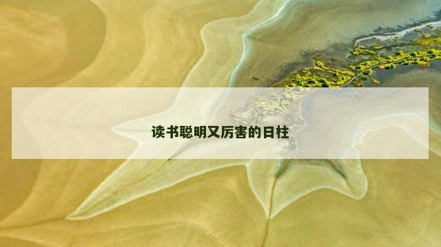 读书聪明又厉害的日柱
