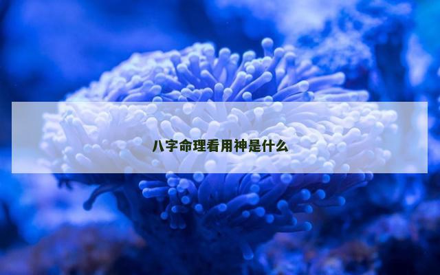 八字命理看用神是什么