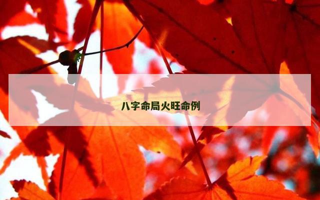 八字命局火旺命例