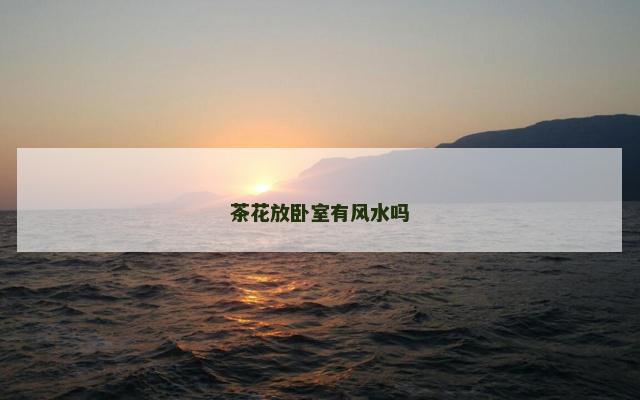 茶花放卧室有风水吗
