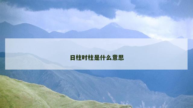 日柱时柱是什么意思