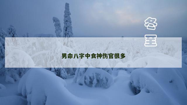 男命八字中食神伤官很多