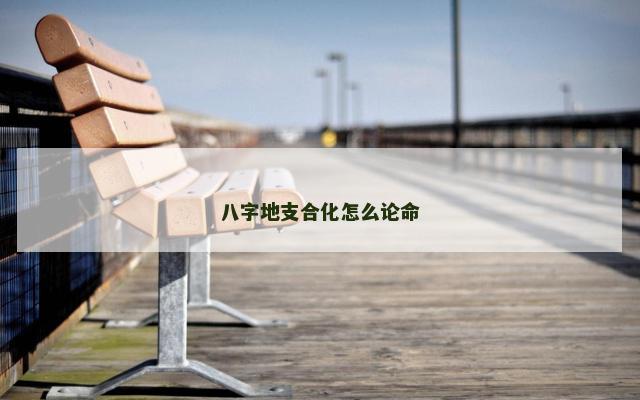 八字地支合化怎么论命