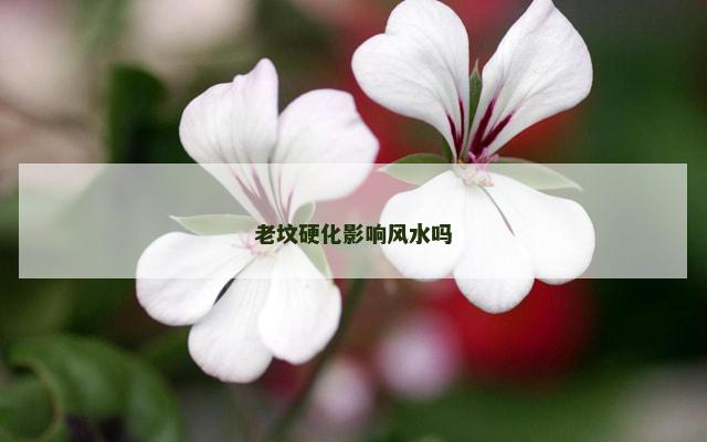 老坟硬化影响风水吗