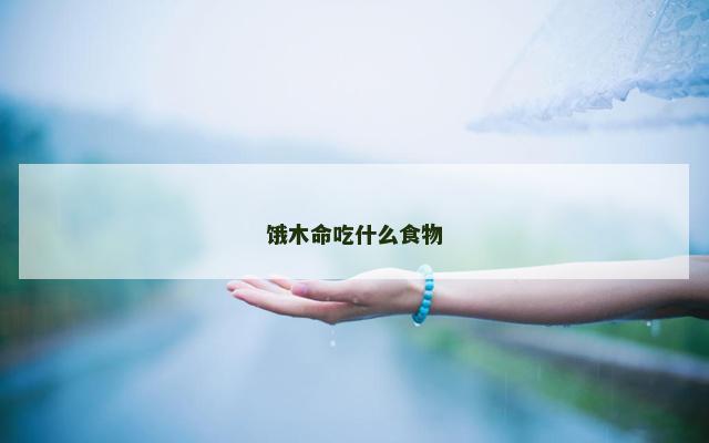 饿木命吃什么食物