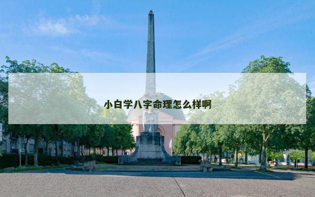 小白学八字命理怎么样啊