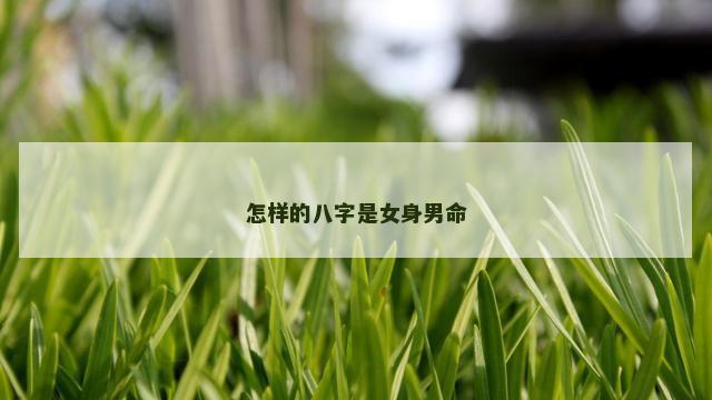 怎样的八字是女身男命