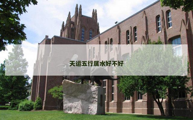天运五行属水好不好