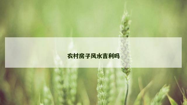 农村房子风水吉利吗
