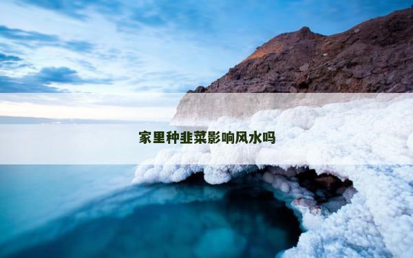 家里种韭菜影响风水吗