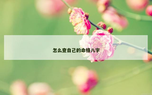 怎么查自己的命格八字