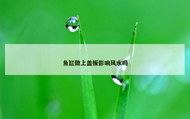 鱼缸做上盖板影响风水吗