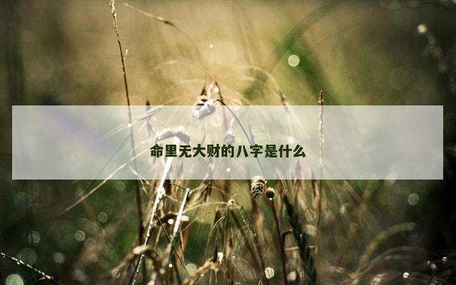 命里无大财的八字是什么