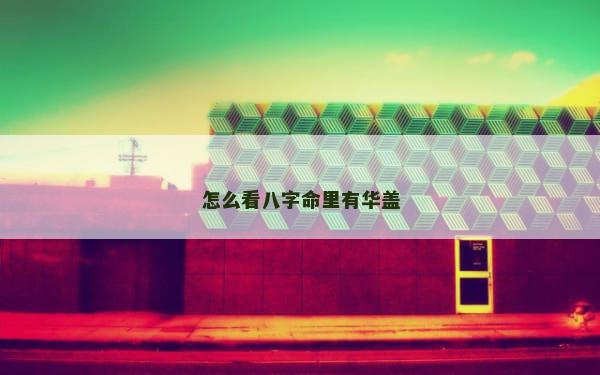 怎么看八字命里有华盖