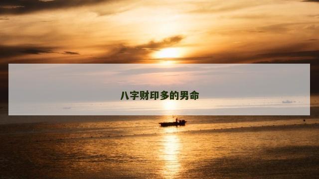 八字财印多的男命