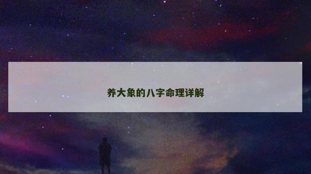养大象的八字命理详解