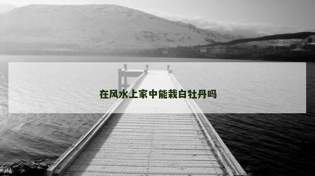 在风水上家中能栽白牡丹吗