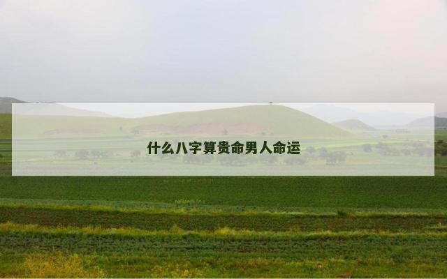什么八字算贵命男人命运
