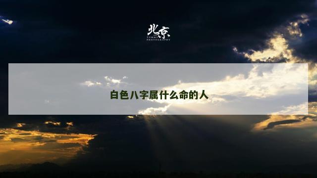 白色八字属什么命的人