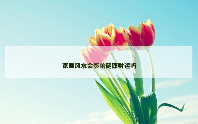 家里风水会影响健康财运吗