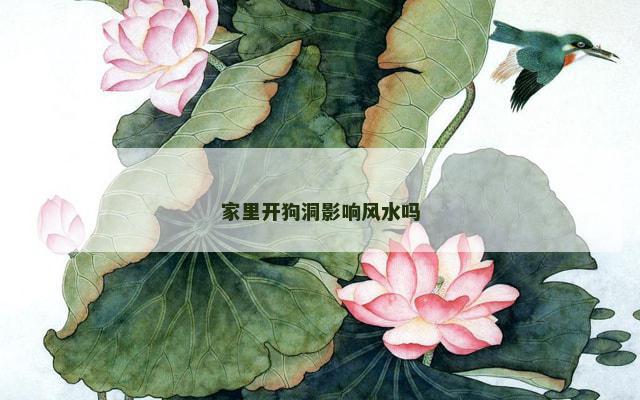 家里开狗洞影响风水吗