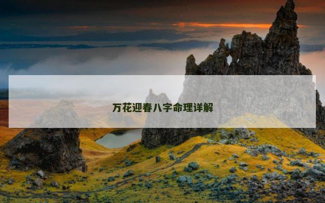万花迎春八字命理详解