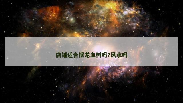 店铺适合摆龙血树吗?风水吗