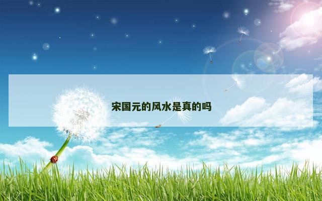 宋国元的风水是真的吗