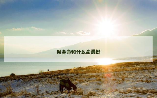 男金命和什么命最好