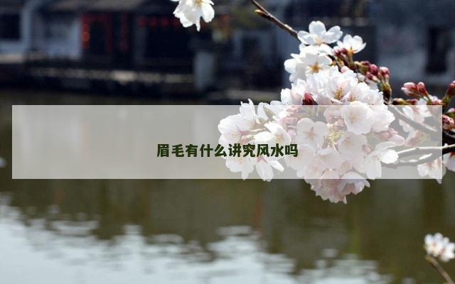 眉毛有什么讲究风水吗