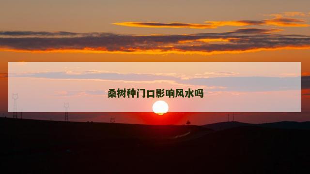 桑树种门口影响风水吗