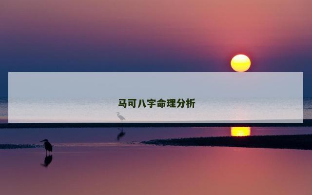 马可八字命理分析